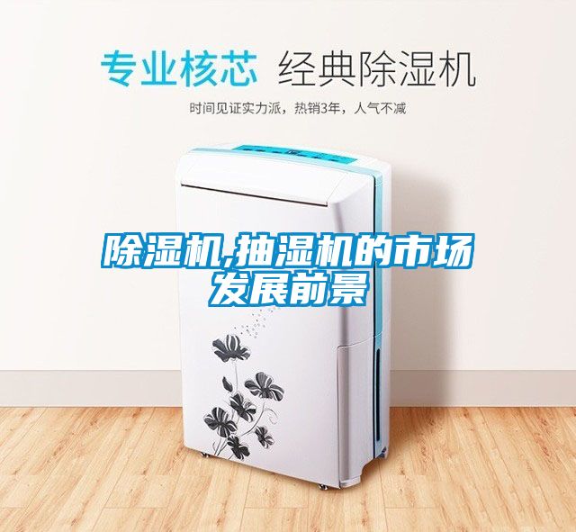 除濕機,抽濕機的市場(chǎng)發(fā)展前景