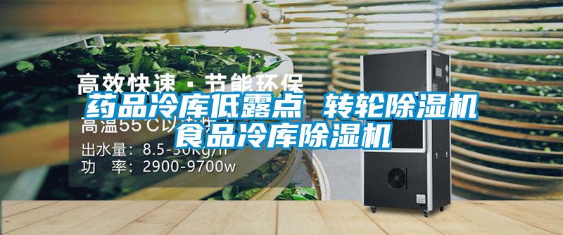 藥品冷庫低露點(diǎn) 轉輪除濕機食品冷庫除濕機