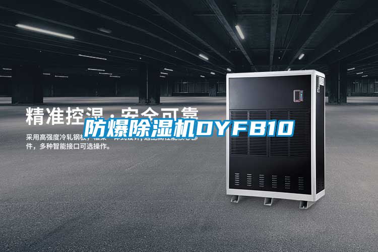 防爆除濕機DYFB10