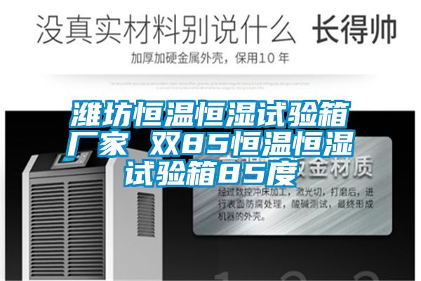 濰坊恒溫恒濕試驗箱廠(chǎng)家 雙85恒溫恒濕試驗箱85度