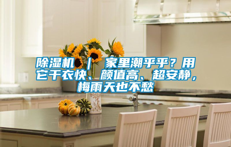 除濕機 ｜ 家里潮乎乎？用它干衣快、顏值高、超安靜，梅雨天也不愁