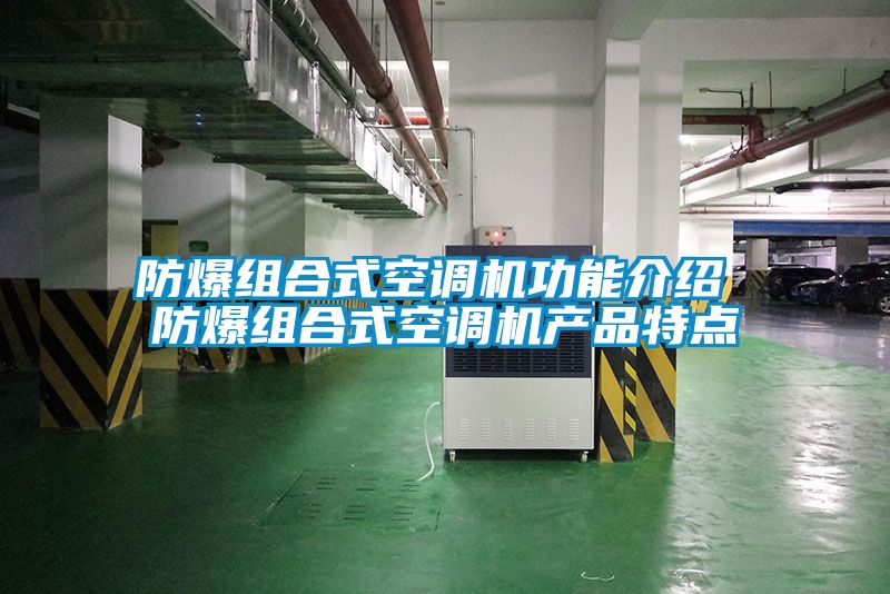 防爆組合式空調機功能介紹 防爆組合式空調機產(chǎn)品特點(diǎn)