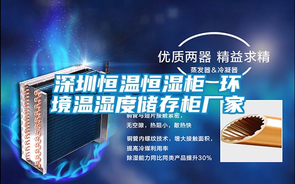 深圳恒溫恒濕柜 環(huán)境溫濕度儲存柜廠(chǎng)家
