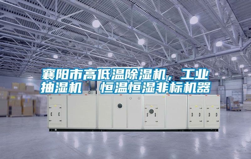 襄陽(yáng)市高低溫除濕機，工業(yè)抽濕機  恒溫恒濕非標機器