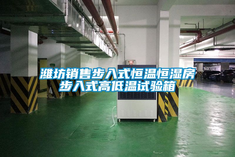 濰坊銷(xiāo)售步入式恒溫恒濕房步入式高低溫試驗箱