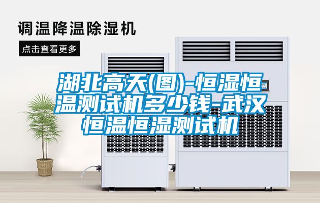 湖北高天(圖)-恒濕恒溫測試機多少錢(qián)-武漢恒溫恒濕測試機
