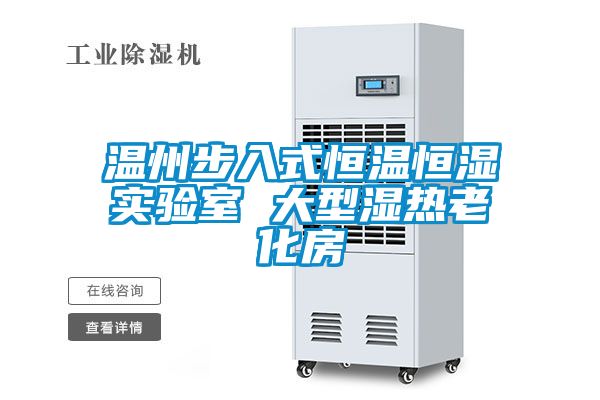 溫州步入式恒溫恒濕實(shí)驗室 大型濕熱老化房