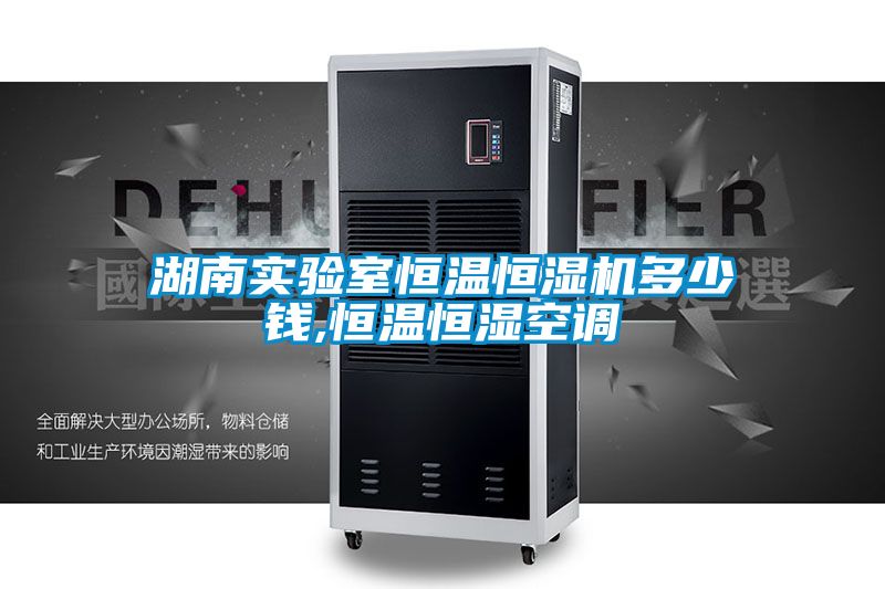 湖南實(shí)驗室恒溫恒濕機多少錢(qián),恒溫恒濕空調