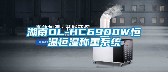 湖南DL-HC6900W恒溫恒濕稱(chēng)重系統