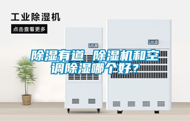 除濕有道 除濕機和空調除濕哪個(gè)好？