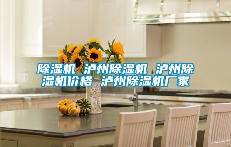 除濕機 瀘州除濕機 瀘州除濕機價(jià)格 瀘州除濕機廠(chǎng)家
