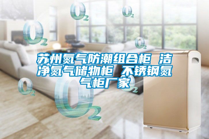 蘇州氮氣防潮組合柜 潔凈氮氣儲物柜 不銹鋼氮氣柜廠(chǎng)家