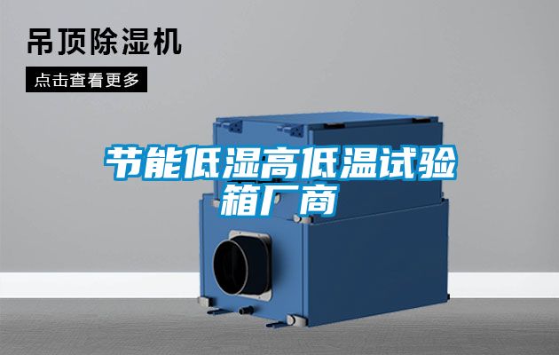節能低濕高低溫試驗箱廠(chǎng)商