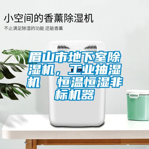 眉山市地下室除濕機，工業(yè)抽濕機  恒溫恒濕非標機器
