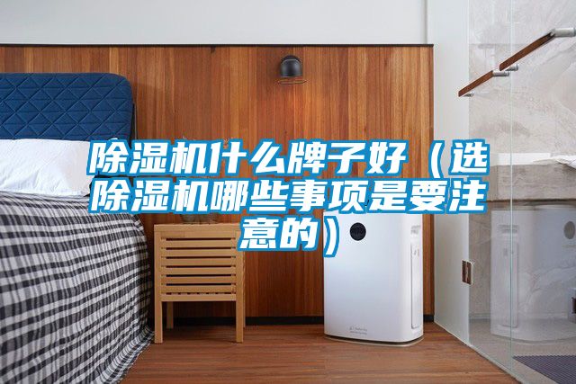 除濕機什么牌子好（選除濕機哪些事項是要注意的）