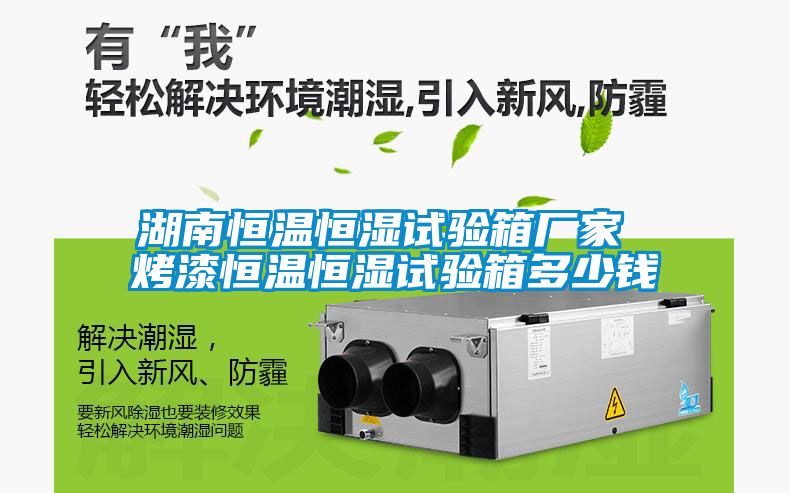 湖南恒溫恒濕試驗箱廠(chǎng)家 烤漆恒溫恒濕試驗箱多少錢(qián)
