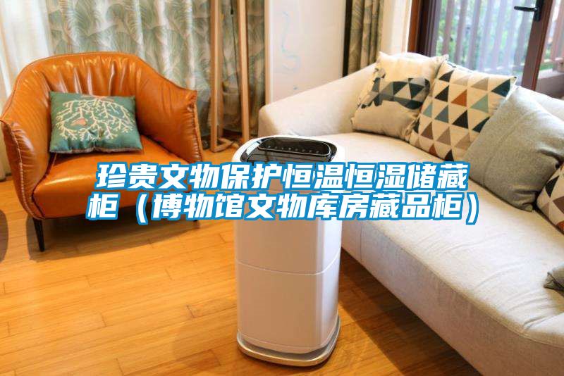 珍貴文物保護恒溫恒濕儲藏柜（博物館文物庫房藏品柜）