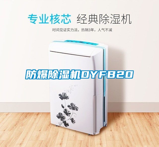 防爆除濕機DYFB20