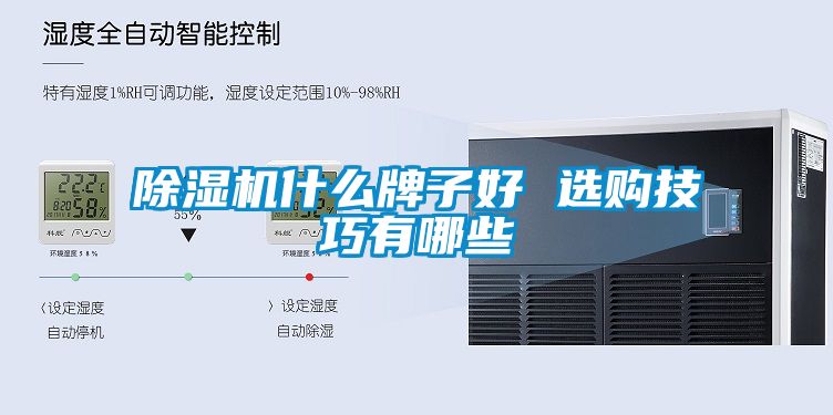 除濕機什么牌子好 選購技巧有哪些