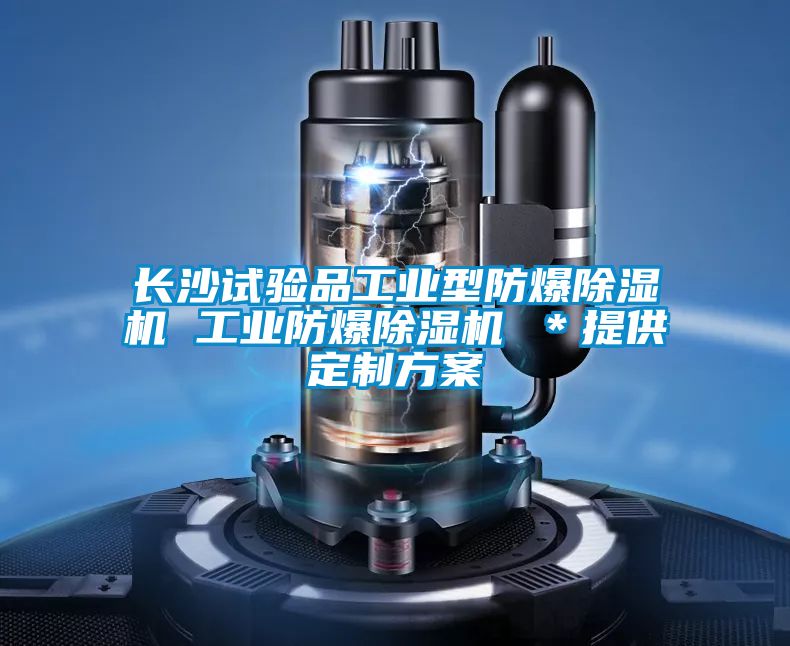 長(cháng)沙試驗品工業(yè)型防爆除濕機 工業(yè)防爆除濕機 ＊提供定制方案