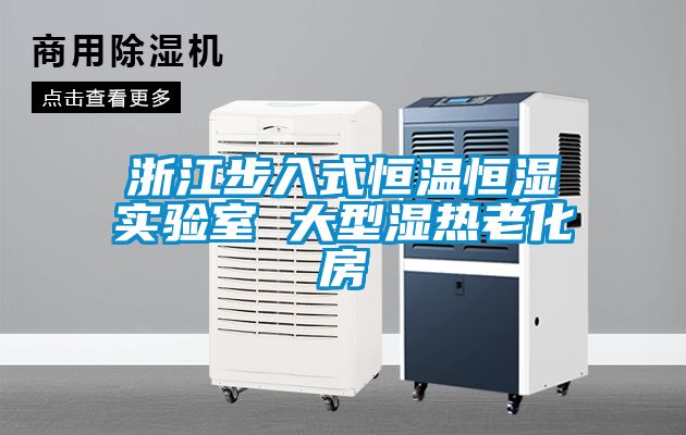 浙江步入式恒溫恒濕實(shí)驗室 大型濕熱老化房