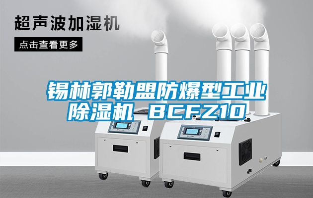 錫林郭勒盟防爆型工業(yè)除濕機 BCFZ10