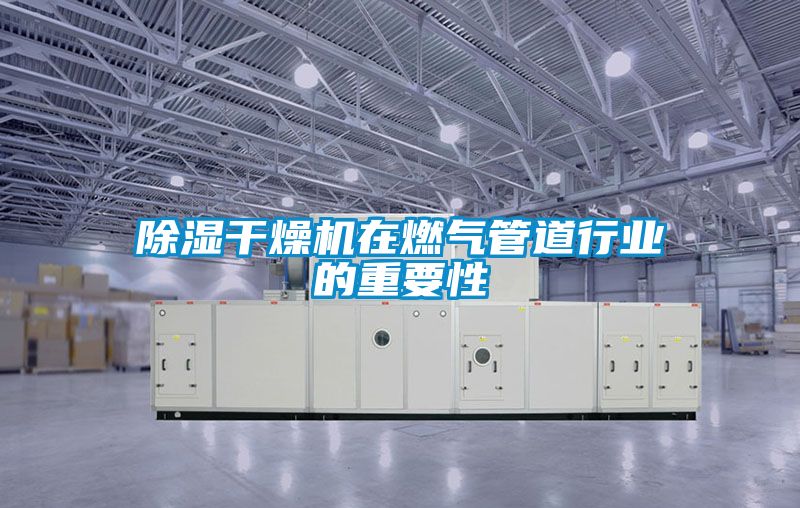 除濕干燥機在燃氣管道行業(yè)的重要性