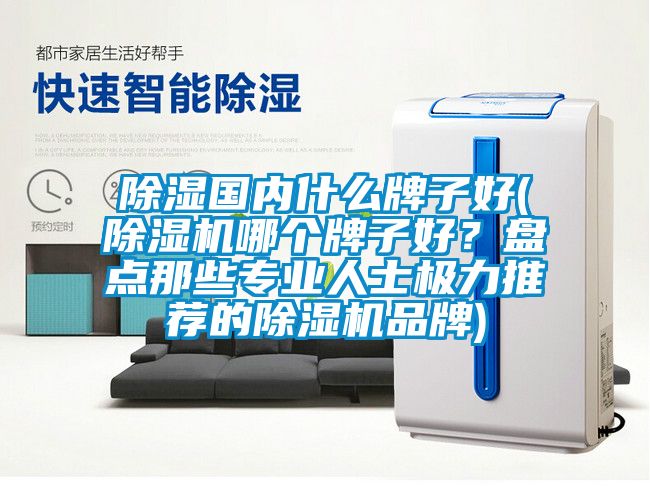 除濕國內什么牌子好(除濕機哪個(gè)牌子好？盤(pán)點(diǎn)那些專(zhuān)業(yè)人士極力推薦的除濕機品牌)
