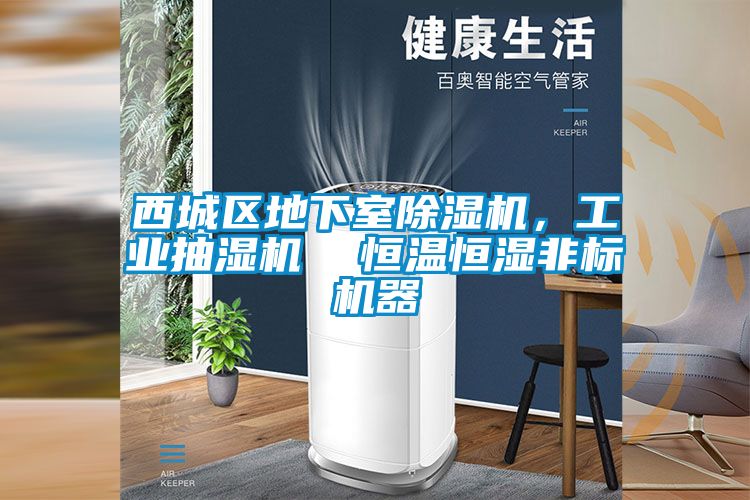 西城區地下室除濕機，工業(yè)抽濕機  恒溫恒濕非標機器
