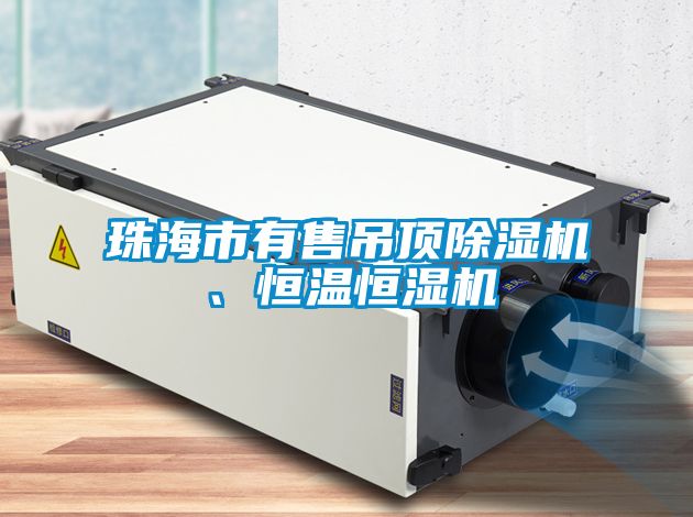 珠海市有售吊頂除濕機、恒溫恒濕機