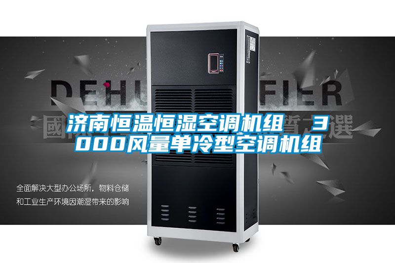 濟南恒溫恒濕空調機組  3000風(fēng)量單冷型空調機組