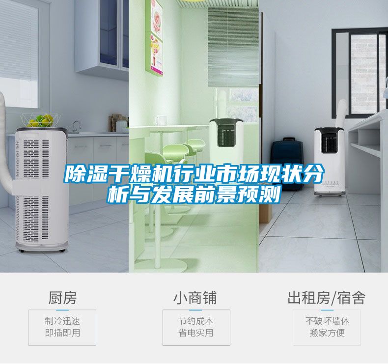 除濕干燥機行業(yè)市場(chǎng)現狀分析與發(fā)展前景預測