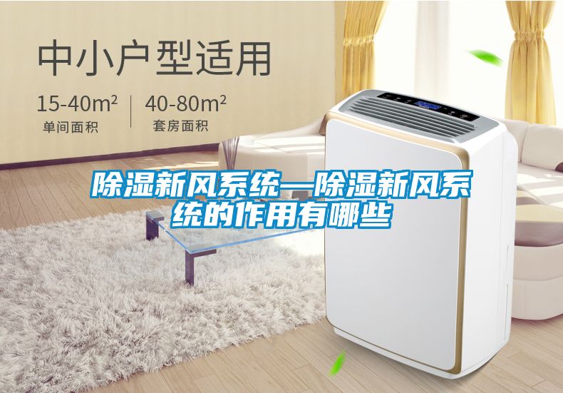 除濕新風(fēng)系統—除濕新風(fēng)系統的作用有哪些