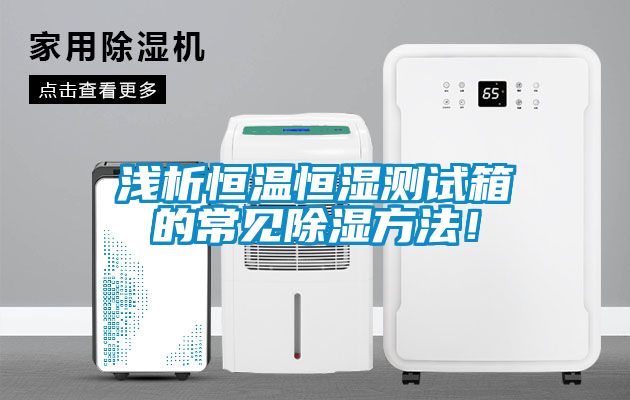 淺析恒溫恒濕測試箱的常見(jiàn)除濕方法！