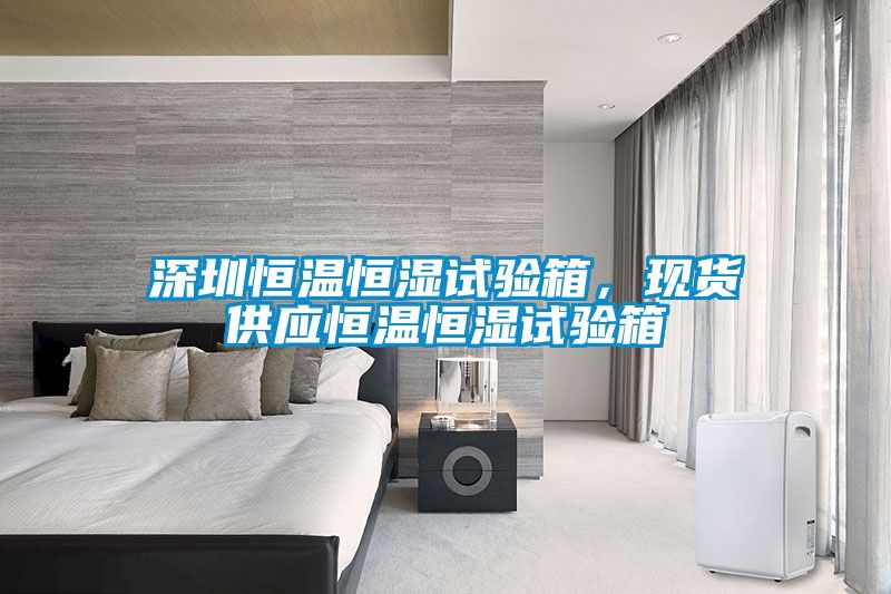 深圳恒溫恒濕試驗箱，現貨供應恒溫恒濕試驗箱