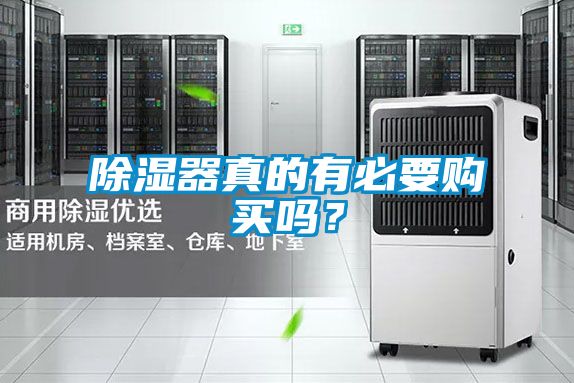 除濕器真的有必要購買(mǎi)嗎？