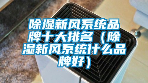 除濕新風(fēng)系統品牌十大排名（除濕新風(fēng)系統什么品牌好）