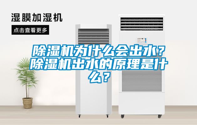 除濕機為什么會(huì )出水？除濕機出水的原理是什么？