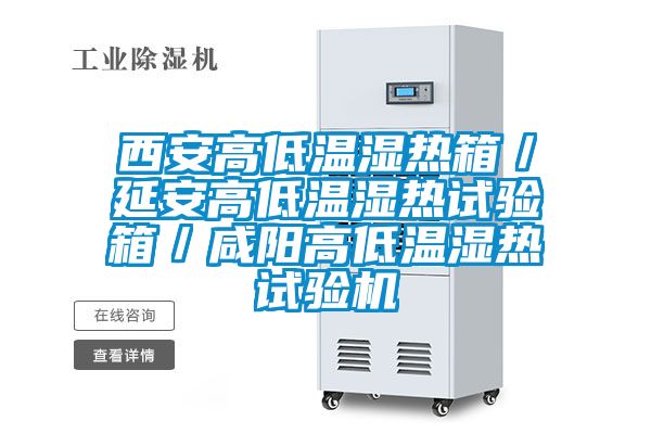 西安高低溫濕熱箱／延安高低溫濕熱試驗箱／咸陽(yáng)高低溫濕熱試驗機