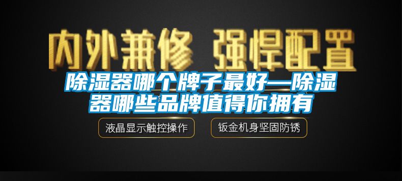 除濕器哪個(gè)牌子最好—除濕器哪些品牌值得你擁有