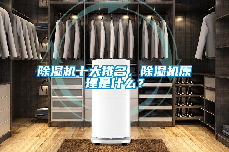 除濕機十大排名，除濕機原理是什么？