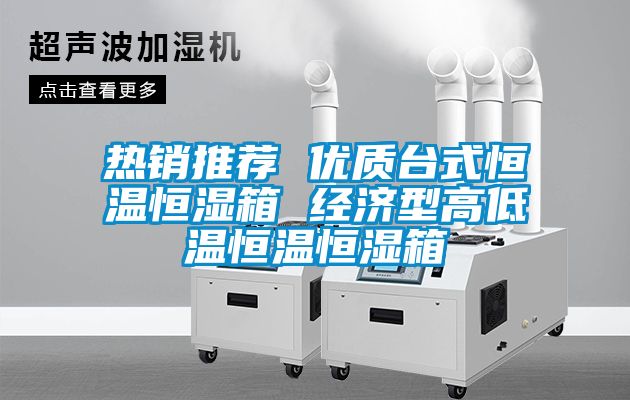 熱銷(xiāo)推薦 優(yōu)質(zhì)臺式恒溫恒濕箱 經(jīng)濟型高低溫恒溫恒濕箱