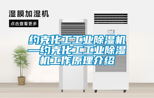 約克化工工業(yè)除濕機—約克化工工業(yè)除濕機工作原理介紹