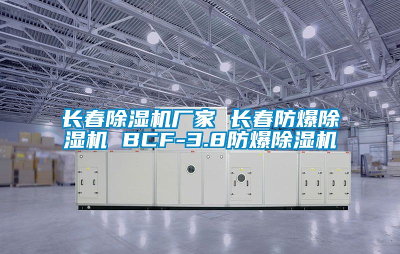 長(cháng)春除濕機廠(chǎng)家 長(cháng)春防爆除濕機 BCF-3.8防爆除濕機