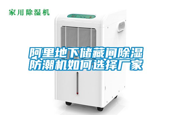 阿里地下儲藏間除濕防潮機如何選擇廠(chǎng)家