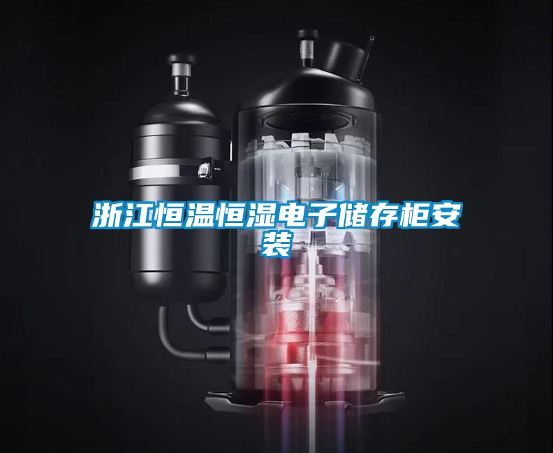 浙江恒溫恒濕電子儲存柜安裝