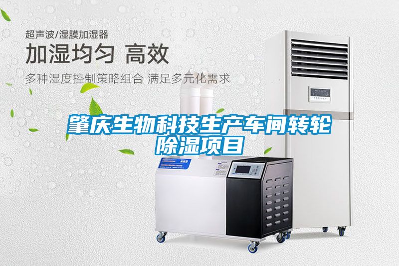 肇慶生物科技生產(chǎn)車(chē)間轉輪除濕項目