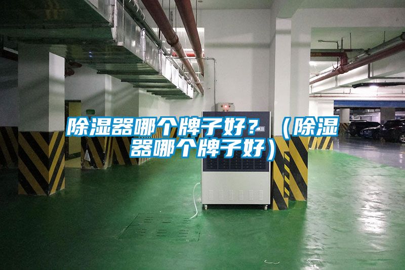除濕器哪個(gè)牌子好？（除濕器哪個(gè)牌子好）