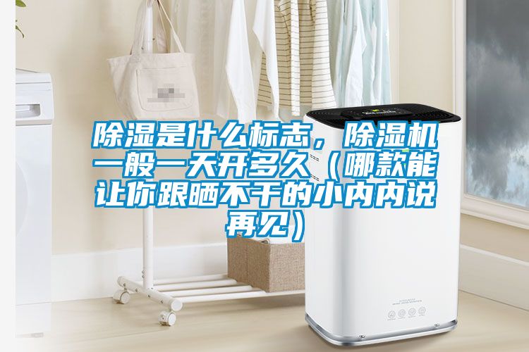 除濕是什么標志，除濕機一般一天開(kāi)多久（哪款能讓你跟曬不干的小內內說(shuō)再見(jiàn)）