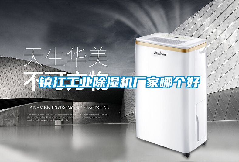 鎮江工業(yè)除濕機廠(chǎng)家哪個(gè)好